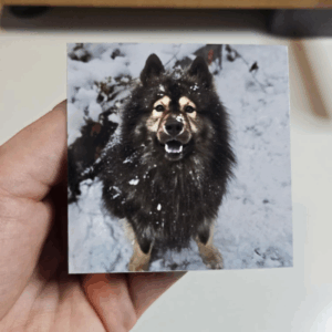 70x70mm Flexible Custom Photo Magnets