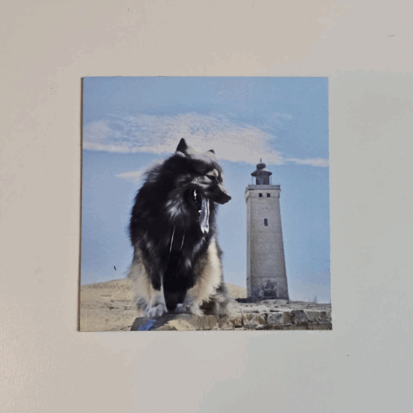 70x70mm Flexible Custom Photo Magnets - Image 3