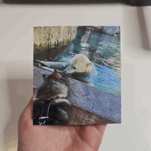 80x90mm Flexible Custom Photo Magnets